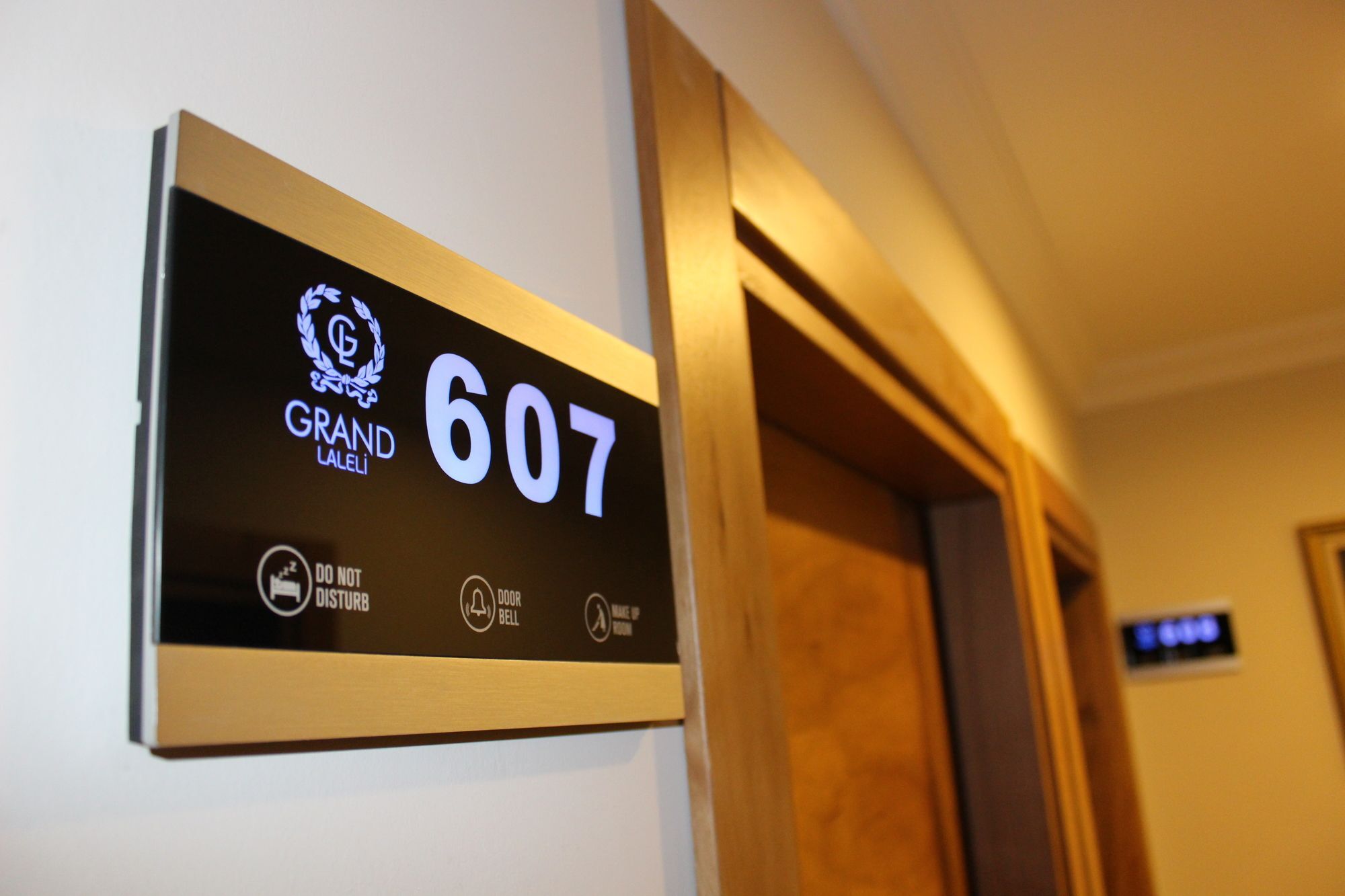Grand Laleli Hotel Istambul Extérieur photo